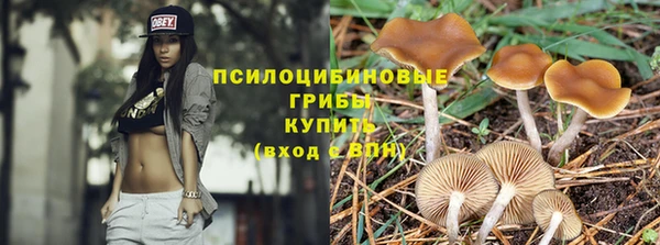 мет Баксан