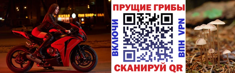 Галлюциногенные грибы прущие грибы  Озёры 